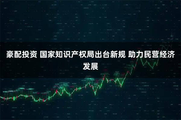 豪配投资 国家知识产权局出台新规 助力民营经济发展