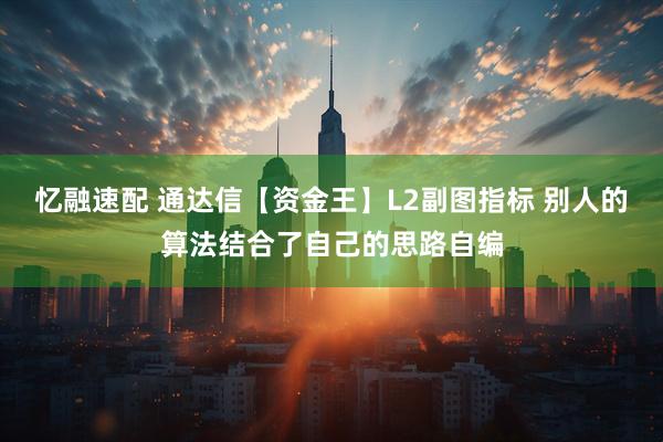 忆融速配 通达信【资金王】L2副图指标 别人的算法结合了自己的思路自编