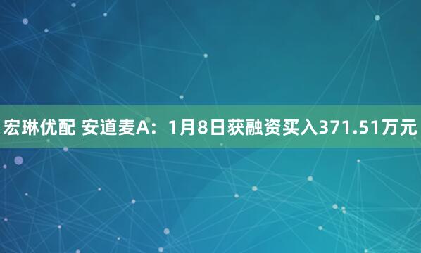 宏琳优配 安道麦A：1月8日获融资买入371.51万元